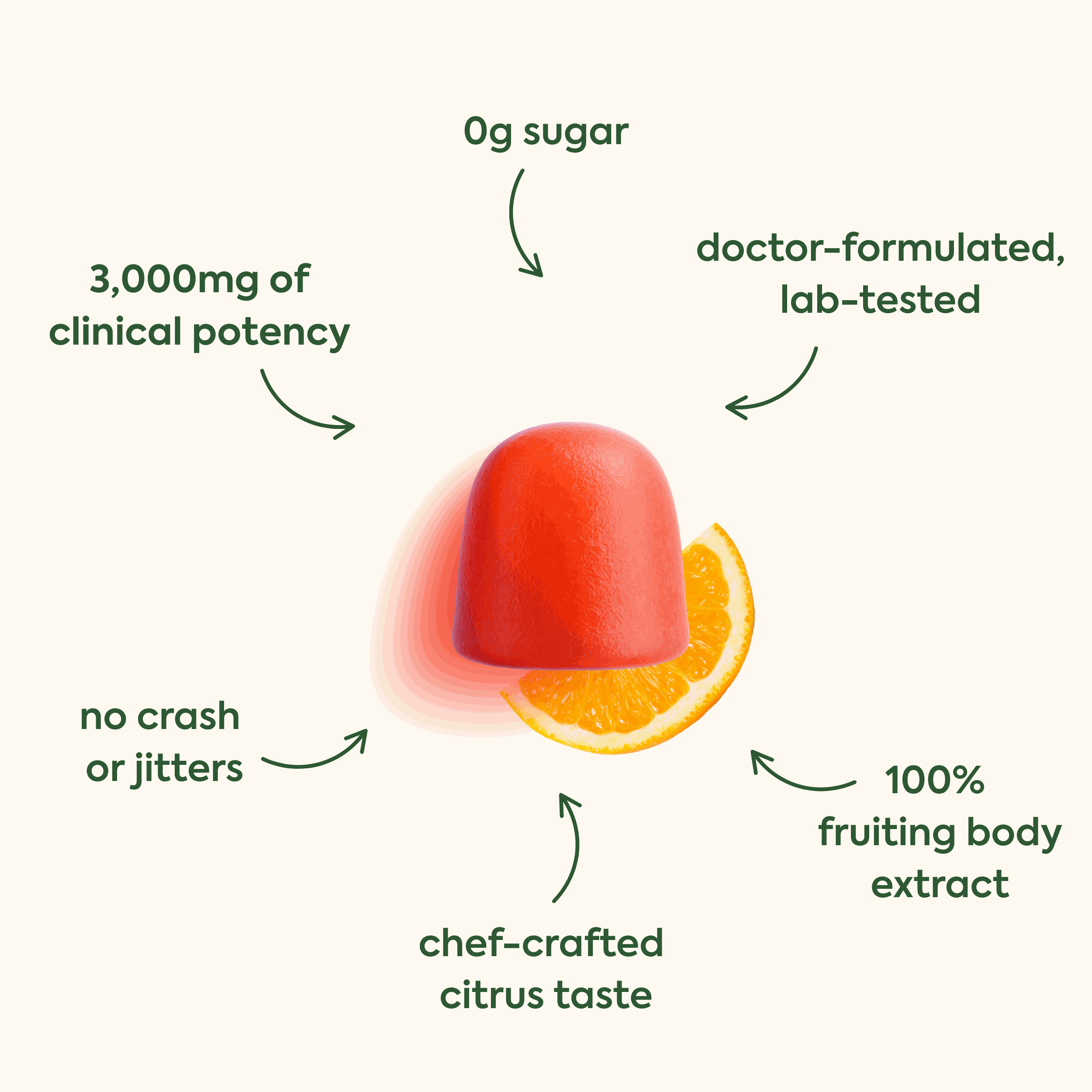 WonderFocus Mushroom Gummies: 5-Day Trial WonderFocus Mushroom Gummies: 5-Day Trial